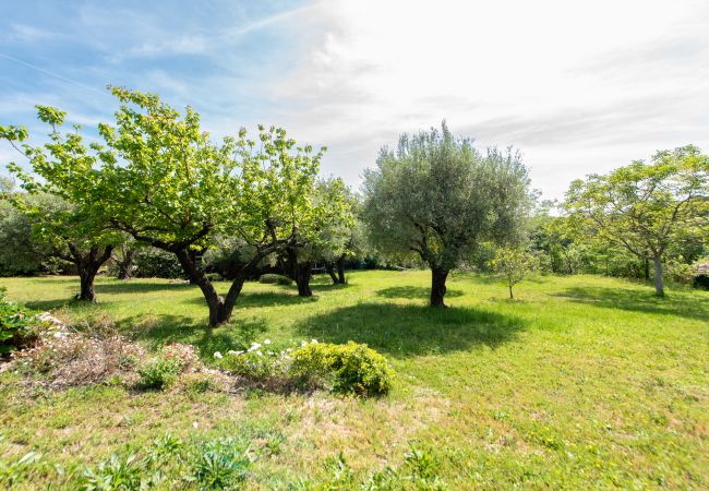 Villa in Tourretes sur Loup - HappyFew: Villa Tourrettes Villa in Tourretes sur Loup - HappyFew: Villa Tourrettes