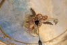 Apartment in Nice - HAPPYFEW LA SUITE BARLA